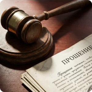 Защита в судах и вышестоящих инстанциях